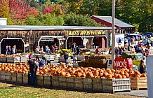 Fall pumpkins