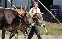 Deerfield Fair