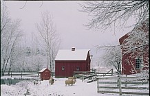 Red Barn